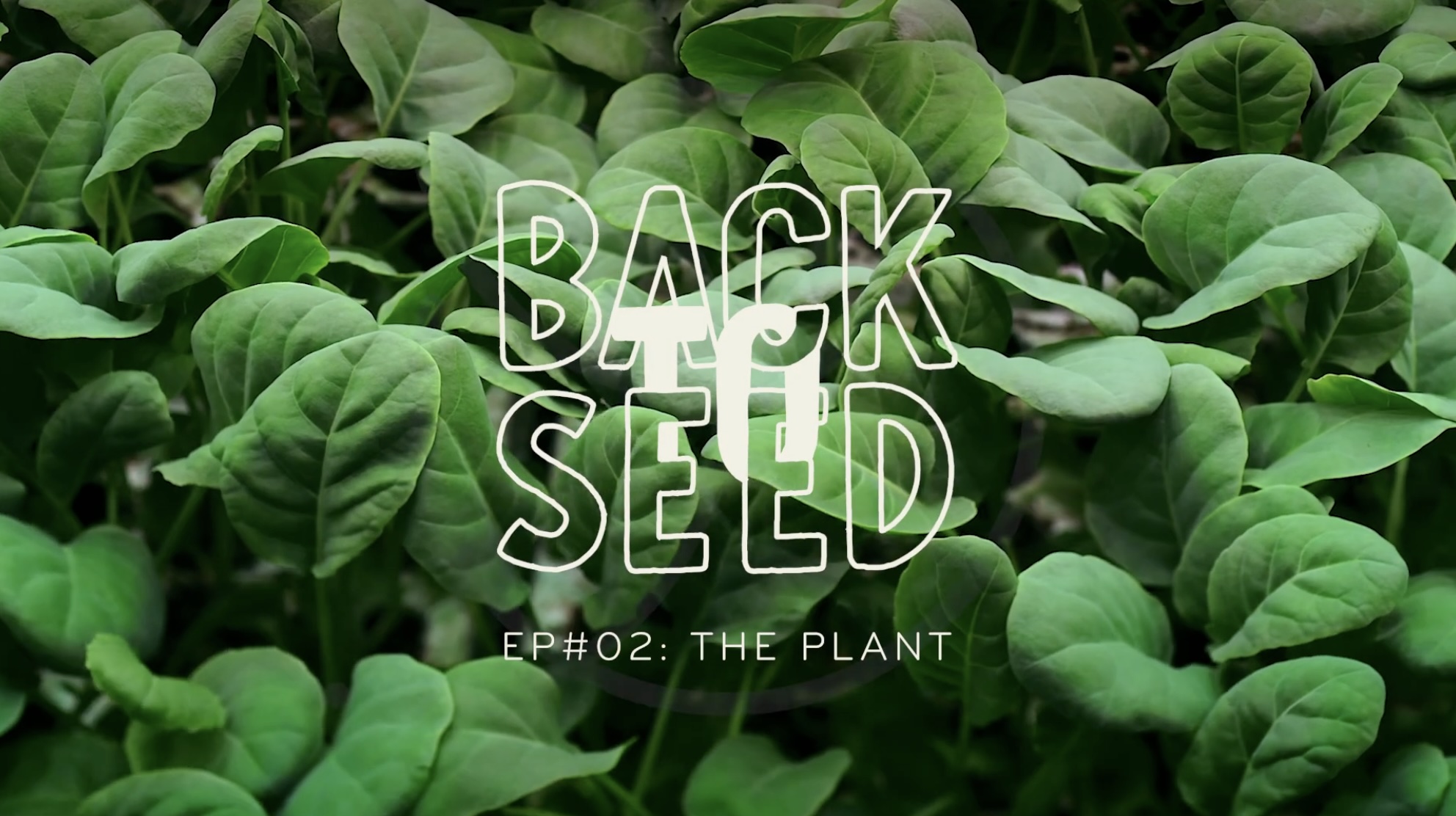 Planet Farms — Back to Seed | Ep#02: The Plant